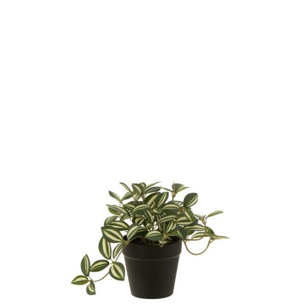 TRADESCANTIA IN POT ARTIFICIAL GREEN/WHITE