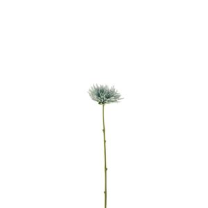CHRYSANT MINI PLASTIC WHITE LIGHT BLUE
