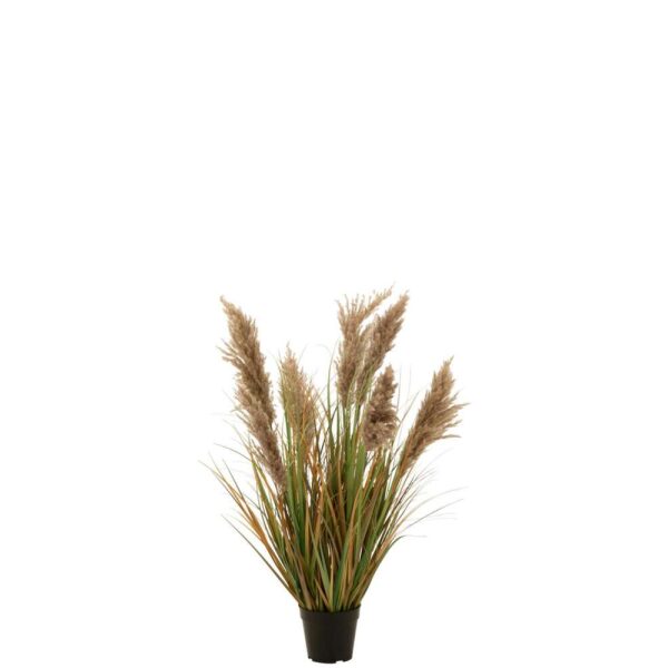 PAMPAS GRASS 7 HEADS IN POT PVC GREEN/BEIGE SMALL
