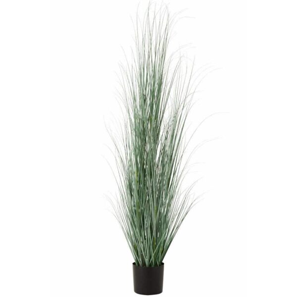 GRASSES IN POT PLASTIC BLUE/GREEN EXTRA LARGE