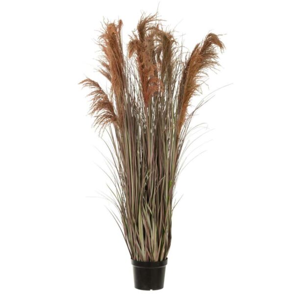PAMPAS GRASS 13 HEADS IN POT PVC GREEN/ORANGE LARGE