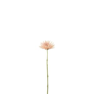 CHRYSANT MINI PLASTIC WHITE LIGHT PINK