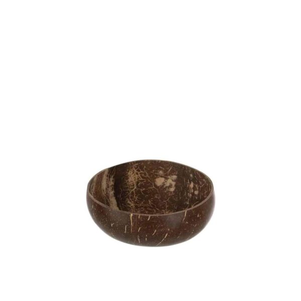 HALF COCONUT BALL NUYE NUT NATURAL