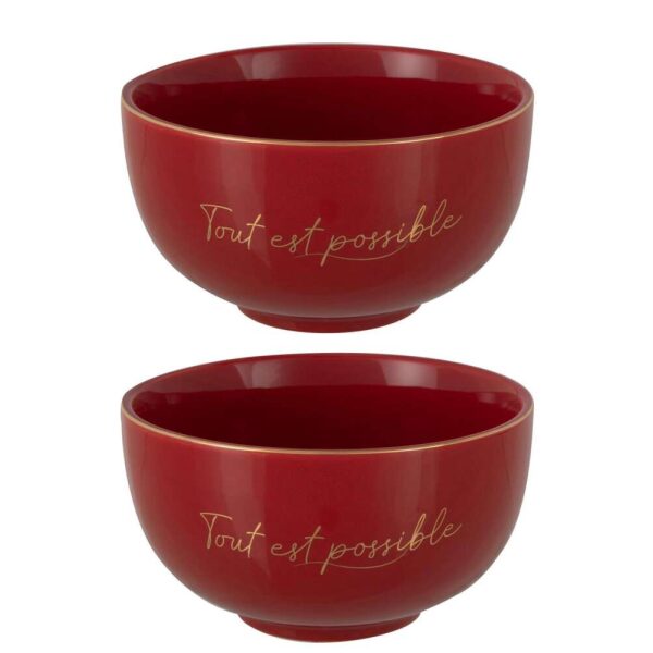 BOX OF 2  BOWL PORCELAIN TOUT EST POSSIBLE RED/GOLD LARGE