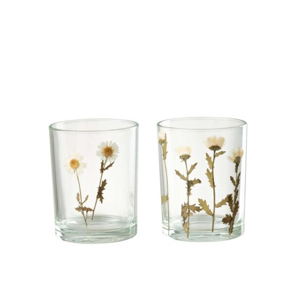 HURRICANE FLOWER DAISY GLASS MIX ASSORTIMENT OF 2