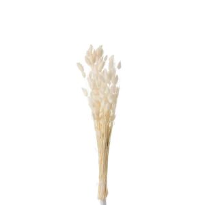 BUNDLE FEATHER BUNNYTAIL DRIED ECRU SMALL