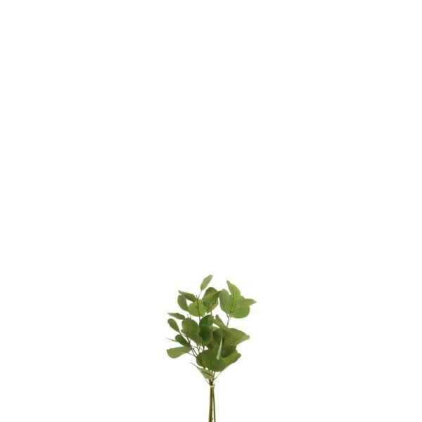 EUCALYPTUS SHORT IN BUNDLE PLASTIC GREEN
