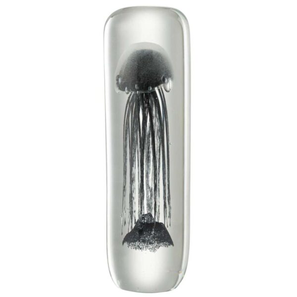 PAPERWEIGHT JELLYFISH CYLINDER GLASS BLACK