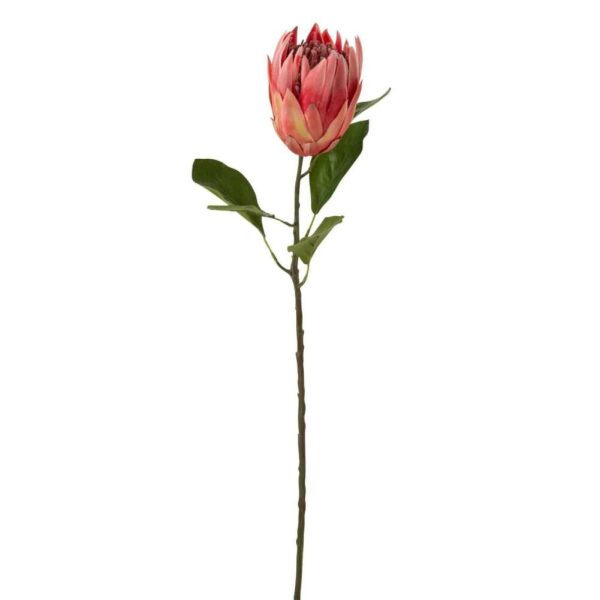 PROTEA BRANCH PLASTIC RED
