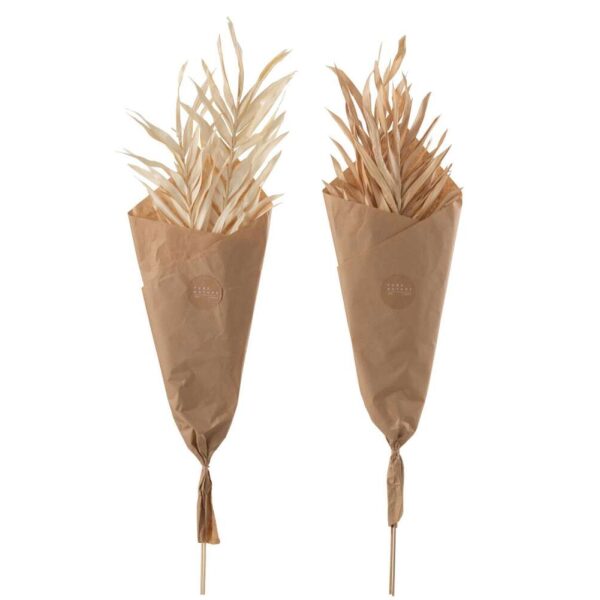 DRIED LEAVES 2 PIECES NATURAL LARGE ASSORTMENT OF 2