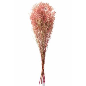BUNDLE GYPSOPHILA DRIED PINK
