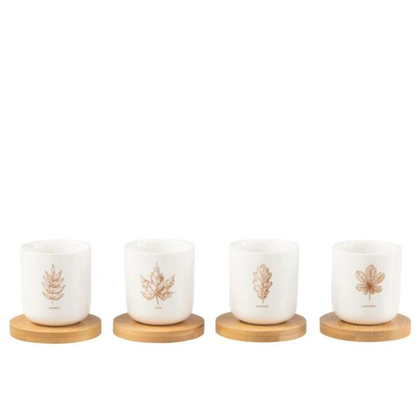 BOX OF 4 COFFEE CUP+BAMBOO SAUCER LEAF WINDOWNBOX CERANMICS BROWN