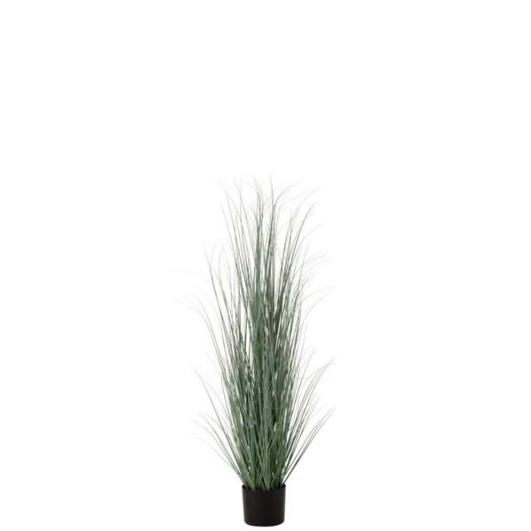 GRASSES IN POT PLASTIC BLUE/GREEN LARGE