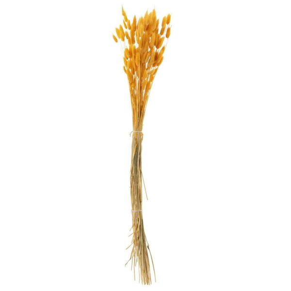 BUNDLE BUNNYTAIL DRIED GOLD