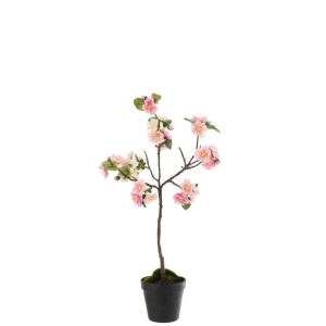 BLOSSOMTREE PLASTIC PINK/BROWN SMALL