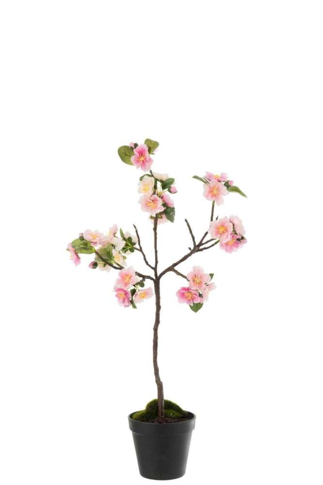 BLOSSOMTREE PLASTIC PINK/BROWN SMALL