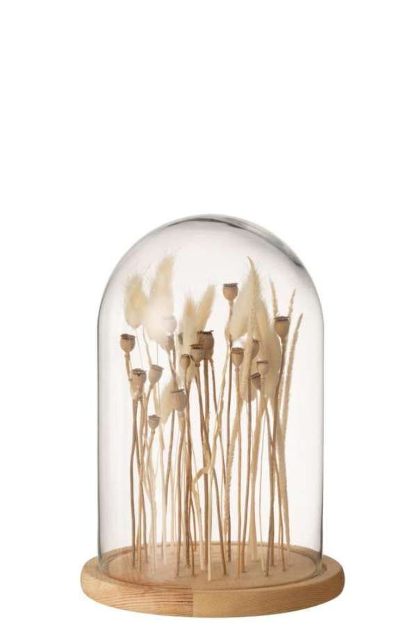 BELL JAR DRIED FLOWERS ECRU/BROWN GLASS WOOD SMALL