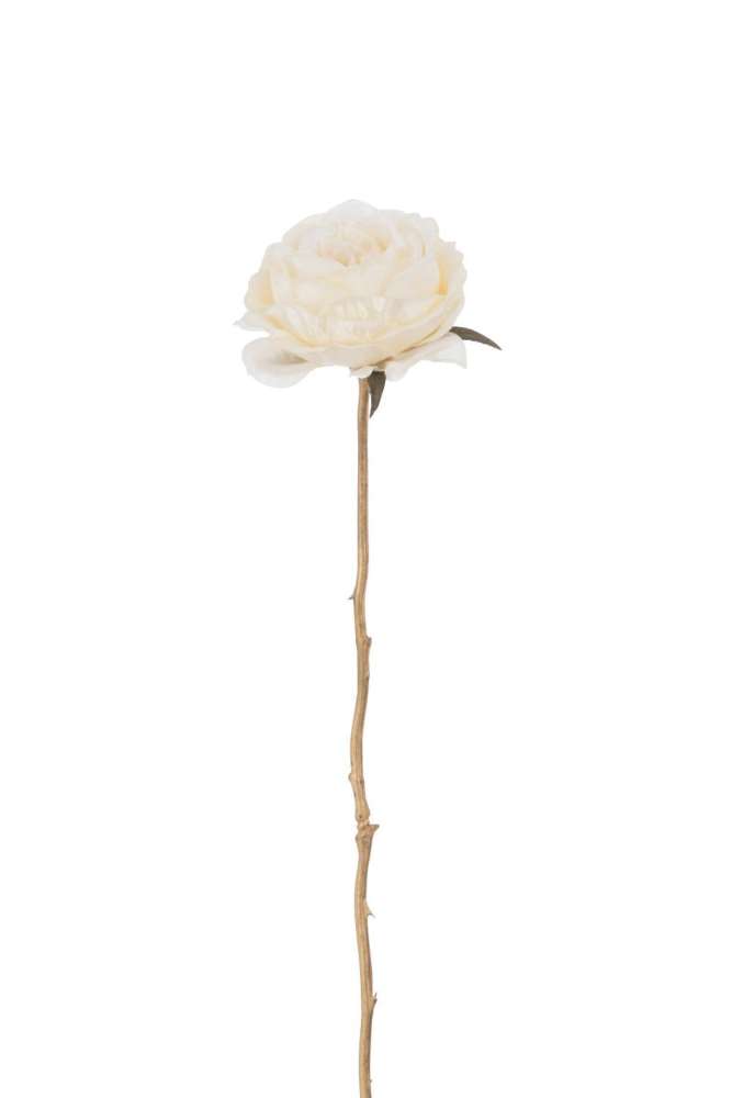 ROSE SINGLE SPRAY PLASTIC CREAM/GOLD