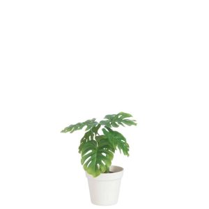 LEAF PHILO IN POT PLASTIC GREEN/WHITE MEDIUM