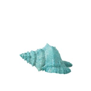 SEASHELL POLYRESIN AZURE