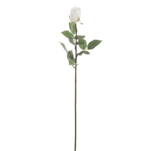 ROSE CLOSED FRESH TOUCH PLASTIC WHITE