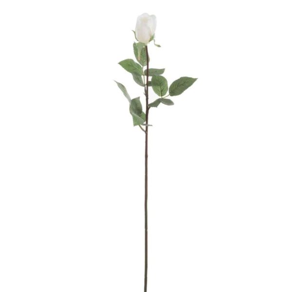 ROSE CLOSED FRESH TOUCH PLASTIC WHITE