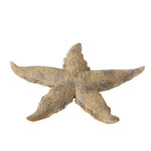 STARFISH POLYRESIN BROWN/GOLD L