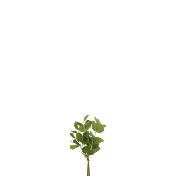 EUCALYPTUS SHORT IN BUNDLE PLASTIC GREEN