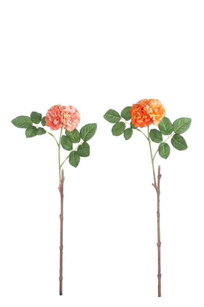 ROSE WILD 2LEAVES POLYESTER ORANGE/PINK ASSORTMENT OF 2