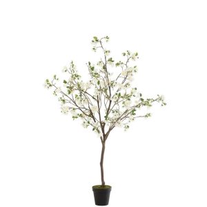 BLOSSOMTREE PLASTIC WHITE/BROWN LARGE