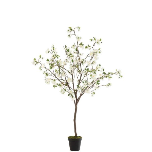 BLOSSOMTREE PLASTIC WHITE/BROWN LARGE