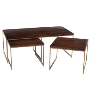 COFFEE TABLE RAFI 3PARTS IRON/MANGO WOOD GOLD/DARK BROWN