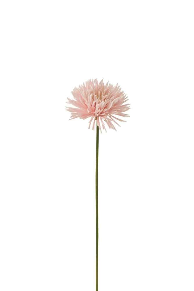 CHRYSANT PLASTIC WHITE LIGHT PINK