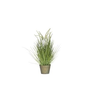 GRASSES+TAILS IN POT METAL GREEN PLASTIC GREEN MEDIUM