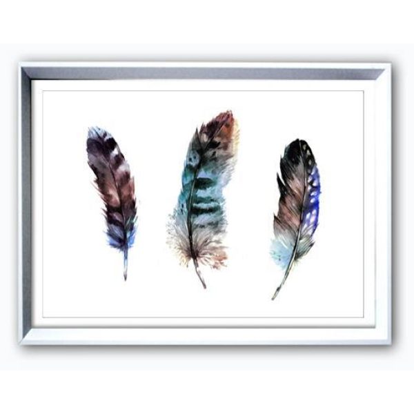 Bilde  M/Ram/Gla. Fjær 50X70Cm