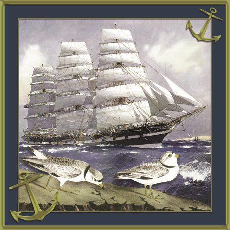 Serviett lunch 33x33cm