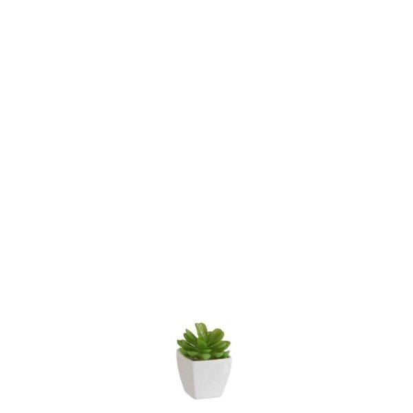 SUCCULENT+POT GREEN/MELAMINE WHITE