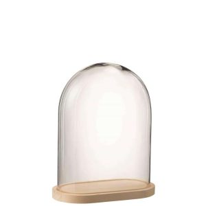BELL JAR OVAL WOOD/GLASS TRANSPARENT/NATURAL SMALL