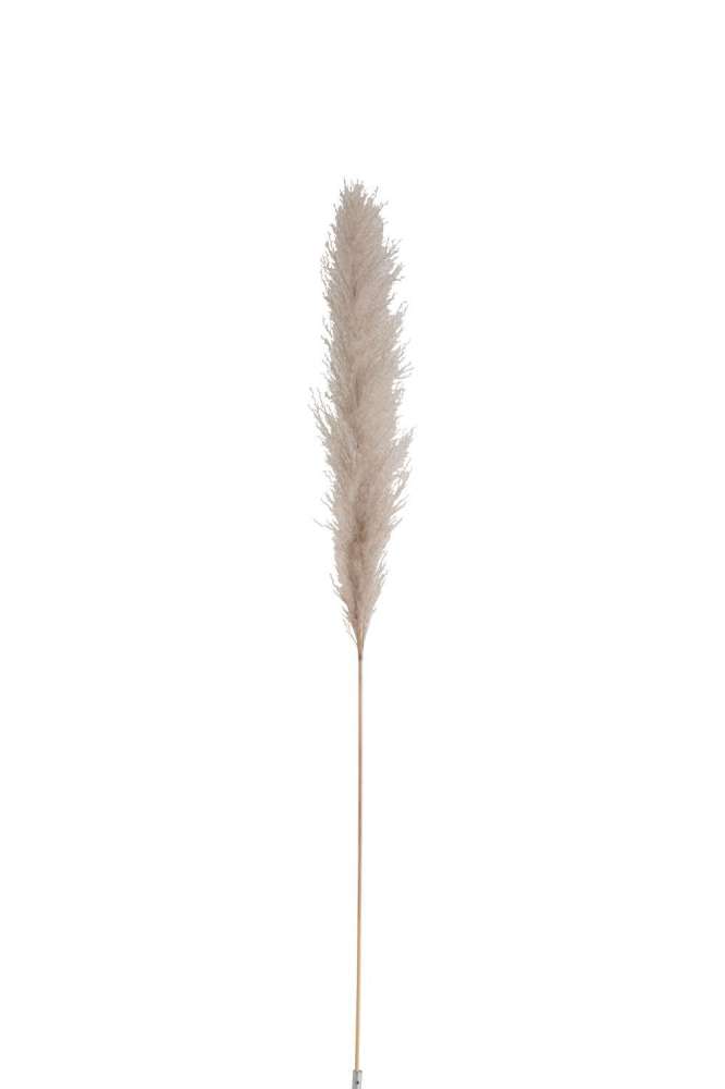 BRANCH PLUME PAMPAS GRASS DRIED NATURAL MEDIUM