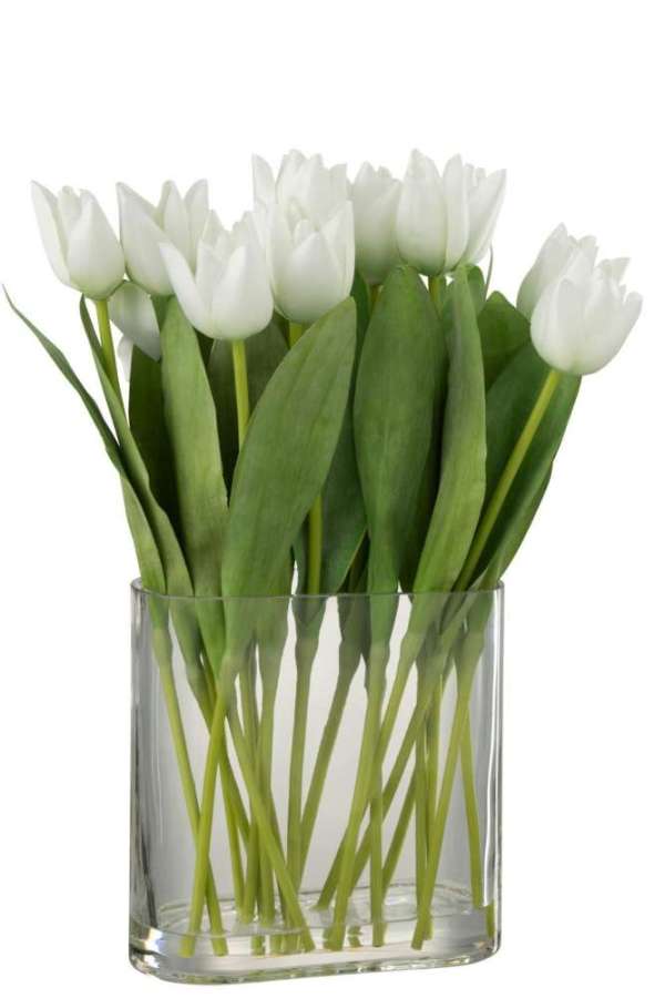 TULIPS IN VASE OVAL PLASTIC GLASS WHITE