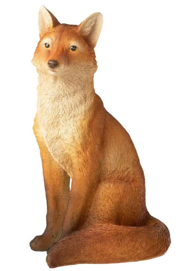 FOX SITTING LIMEPOWDER ORANGE
