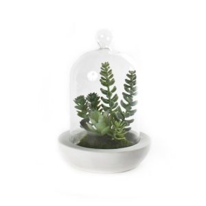 Sukkulent M/Kuppel Sement 13X18Cm
