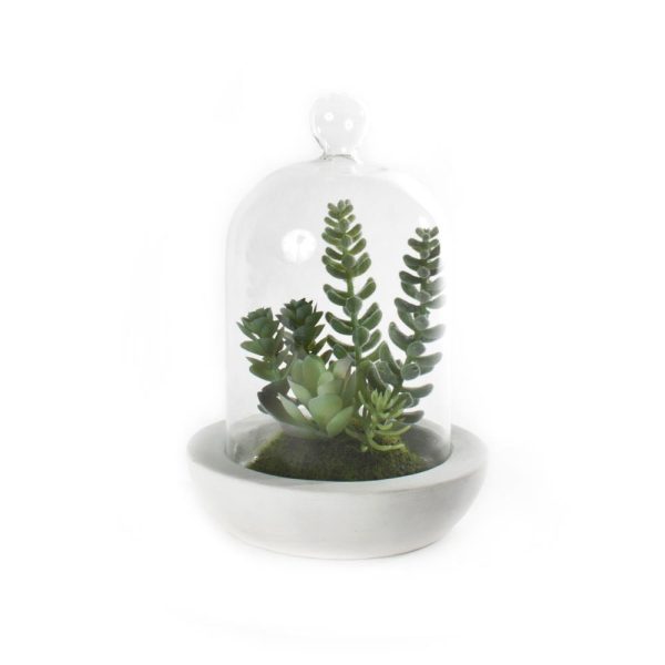 Sukkulent M/Kuppel Sement 13X18Cm