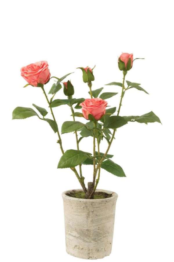 ROSE 5 HEADS IN POT PLASTIC/TEXTILE PINK/GREEN