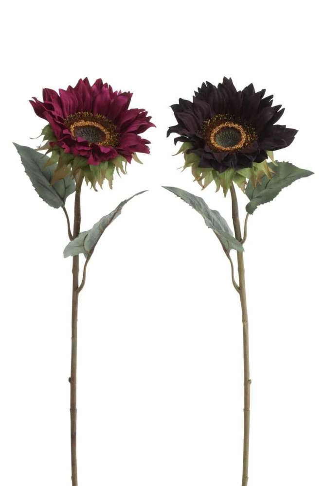 SUNFLOWER PLASTIC RED/BORDEAUX ASSORTMENT OF 2