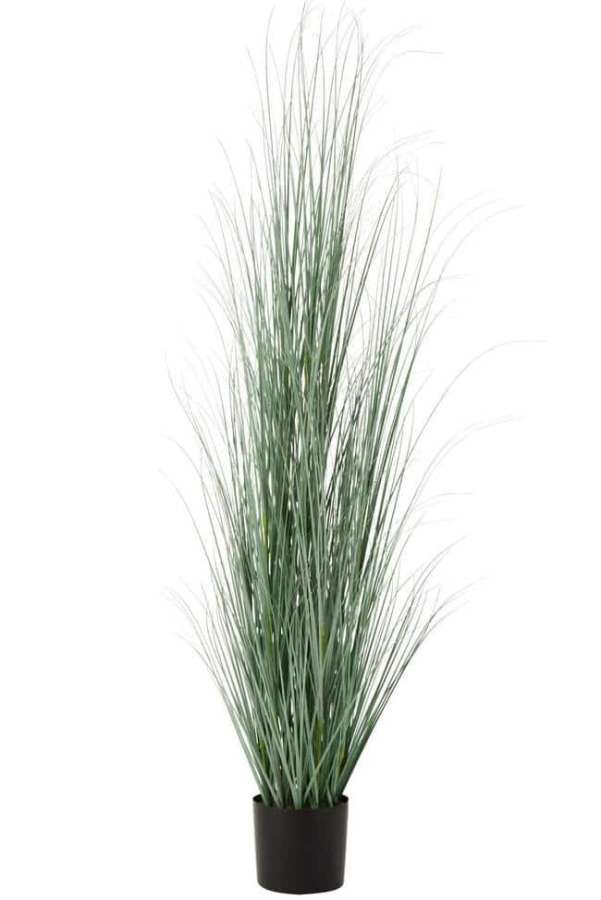 GRASSES IN POT PLASTIC BLUE/GREEN EXTRA LARGE