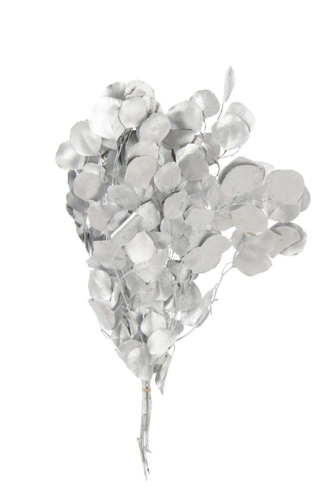 EUCALYPTUS DRY FLOWER SILVER COLORED