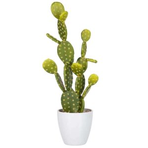 FIG CACTUS GREEN LARGE
