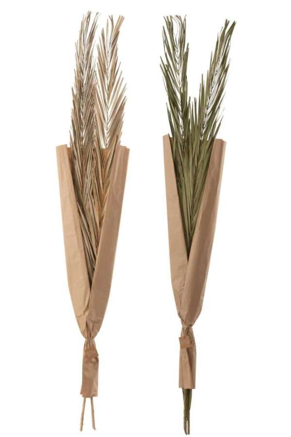 LEAVES KHAJUR 2 PIECES GREEN ASSORTMENT OF 2