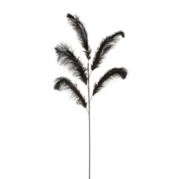 OSTRICH FEATHER 5PART BLACK SMALL